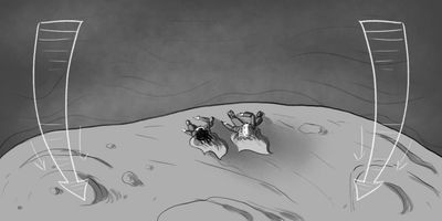 WIDE > WIDE (CRANE) - Over the top crane down to eye level. 
* Slow motion, crane.